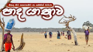 Pada Yatra | කතරගම පාද යාත්‍රාව | Kataragama PadayatraVlog Panama to Kataragama