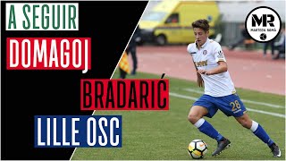 DOMAGOJ BRADARIĆ | LILLE OSC | Goals, Assists \u0026 Skills