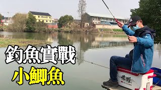 实战！春季钓小鲫，找回一下手感！【户外老曹】