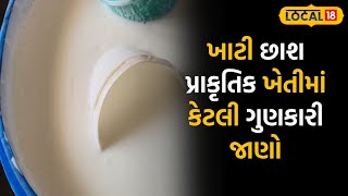 Porbandar News | કામની વાત, એક પણ રૂપિયાનાં ખર્ચ વિના ફૂગ અને રોગનો કરો સફાયો |#local18