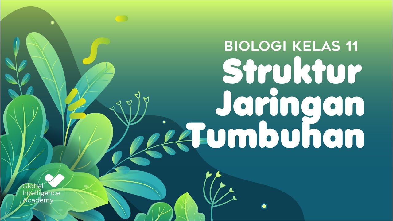 BIOLOGI Kelas 11 - Struktur Jaringan Tumbuhan | GIA Academy - YouTube