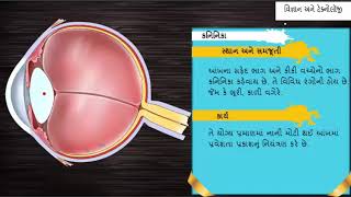 આંખની રચના || Eye || Science