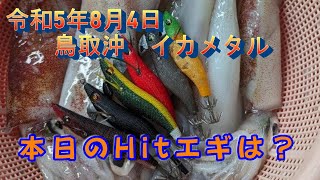 令和5年8月4日　鳥取沖　オモリグのみ