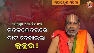 ୨୦୧୫ ବ୍ରହ୍ମ ପରିବର୍ତ୍ତନ ବେଳେ ଘଟିଥିଲା ଅଲୌକିକ ଘଟଣା ! ମହାପ୍ରଭୁ ମହିମା | Jay Jagannath | Nabakalebara