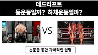 데드리프트는 전신운동일까? 등운동일까?하체운동일까?  데드1편