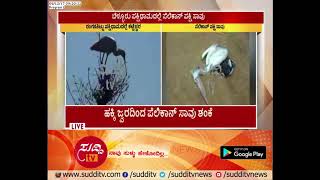 Mandya : Pelicon Bird Death At Kokkare Bellur Pakshi Dhama | ಸುದ್ದಿ ಟಿವಿ