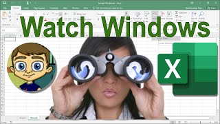 Using Watch Windows in Excel