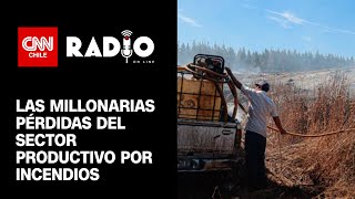 US $253 millones | Avance de incendios forestales afecta duramente a sectores productivos del país