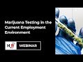 Marijuana Testing in the Current Employment Environment