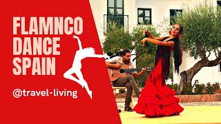 Flamenco Dance in Andalucía, Spain: Soulful Flamenco Dance Performance: Passion and Rhythm Unleashed