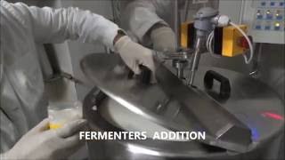 ARTISAN ORGANIC YOGURT MAKING - How to make yogurt  for Mini dairy