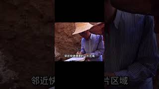 河南挖出明代縣太爺家族墓，挖幾年什么都沒撈著，專家：這是清官 #紀中百事 #古董 #開棺 #古墓 #考古發現