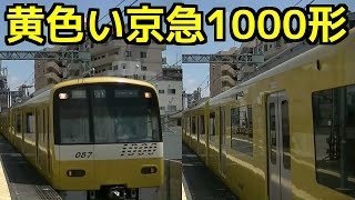 京急1000形 イエローハッピートレイン 黄色い京急「幸せの黄色い電車」YELLOW HAPPY TRAIN