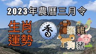 猴雞狗豬 l 丙辰月農曆三月令運勢 I 2023 (4/5 - 5/5)4月運勢 I 2023 April fortune I Know yourself and know each other