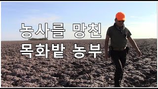 35만 달러 날아간 미국 농부. Lost money $ 350'000 : 00