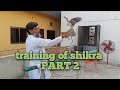 training of shikra|| part 2 || falconry art of kings