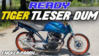 YANG DI TUNGGU” || RIVIEW TIGER TLESER DUM SEHARGA 12 JUTA NEGO