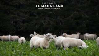 TE MANA LAMB (Pure South)