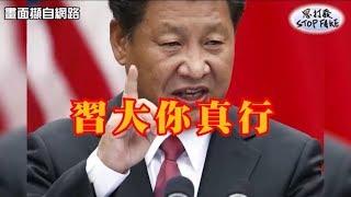 民主之歌-習大你真行