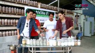 การเพาะเห็ดถั่งเช่า ตอนที่ 4 โดย ฟาร์มเห็ดอัจฉริยะ Fresh Ville Farm