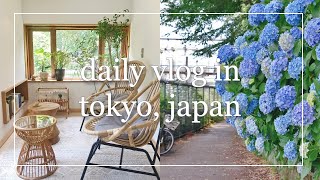 pretty cafe, hydrangeas, taiwanese food \u0026 conbini | daily life in tokyo