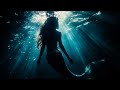 Marine Spirits Exposed! (Everything You Need to Know)