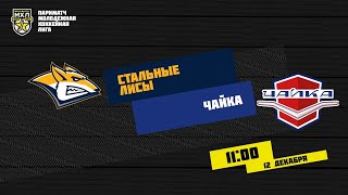 12.12.2020. «Стальные Лисы» – «Чайка» | (Париматч МХЛ 20/21) – Прямая трансляция