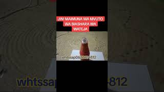 JINI MAIMUNA MVUTO WA BIASHARA 0622124812