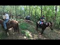 trackrock stables u0026 campground review by https rvdestinations.blog