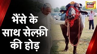 MP News: मुरैना कृषि मेले में आकर्षण का केंद्र बने भैंसे, युवराज और गोलू के साथ सेल्फी की होड़