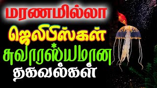 சாகாவரம் பெற்ற உயிரினம் | சாகாவரம் பெற்ற விலங்குகள் | சாகாவரம்