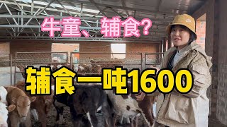 【牧牧】263 1600多一吨的牛宝宝辅食，要比大牛的饭贵出一半