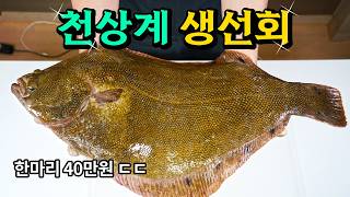 I ate the most expensive legendary sashimi in Korea.