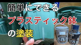 「多肉植物」簡単にできるプラスティック鉢の塗装