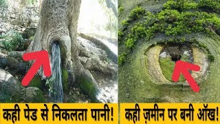 प्रकृति द्वारा बनाई गई दुनिया की 5 सबसे खूबसूरत चीजें|