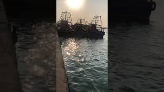 Ponnani fishing harbour \u0026ഇവിടെ വന്നാൽ പിടയ്ക്കുന്ന മീനും വാങ്ങി പോകാം 😀