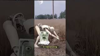 New tesla robot weRobot yapdollar explains harvest wheat (elon musk) #fiveish #memes #fivedollars