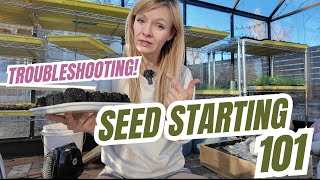 Seed starting 101: best soil, tray options, lighting, fertilizing, and troubleshooting!