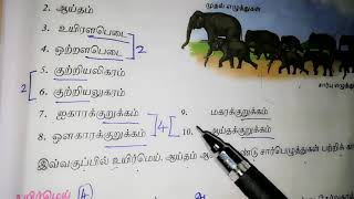 6th பருவம் 1 / இயல் 2 - இலக்கணம் முதலெழுத்தும் சார்பெழுத்தும்