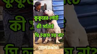 কুকুরের পেটে কী সত্যিই ঘি হজম হয় না?!! #shorts #bengali #golokdhada