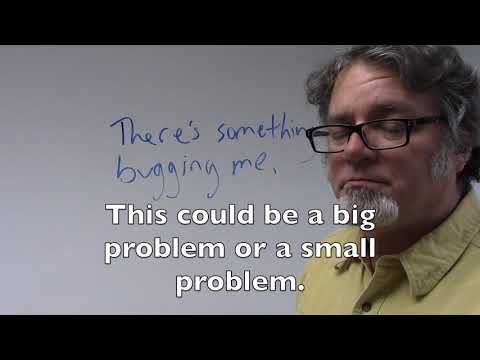 What is another word for a bug?