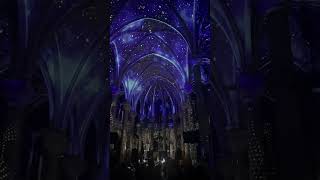 Luminiscence light show in Notre Dame de Nice Cathedral #notredame #cathedral #catholic