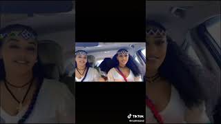 አሸንዳ  #tigiray #tiktok #tigirega music