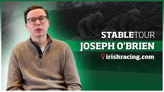 Joseph O’Brien stable tour pre-Cheltenham 2023