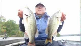 LAZY DAYZ ON POTOMAC RIVER BASS FISHING PICS