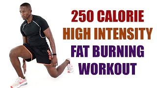 250 Calorie High Intensity Fat Burning Workout in 20 Minutes