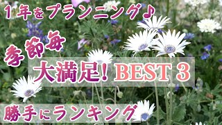 【大満足】植えて良かった花 BEST3*季節毎ランキング/ナチュラルガーデン作り/ガーデニング