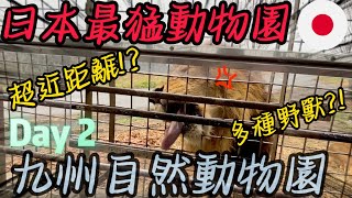 【日本🇯🇵福岡自由行·DAY 2】日本最猛動物園😱・ 九州自然野生動物園🦁️🐯!! 地獄👹溫泉布甸🍮！A5和牛燒肉放題🍖🍺!