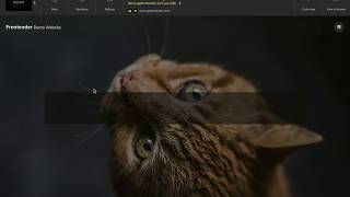 Inserting a nested container