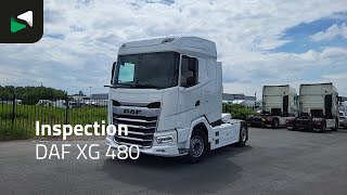 DAF XG 480 -  - BAS World